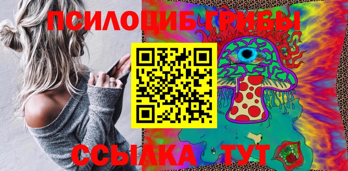 Псилоцибиновые грибы GOLDEN TEACHER  Галлюциногенные грибы Cubensis  Добрянка  Вход с VPN 